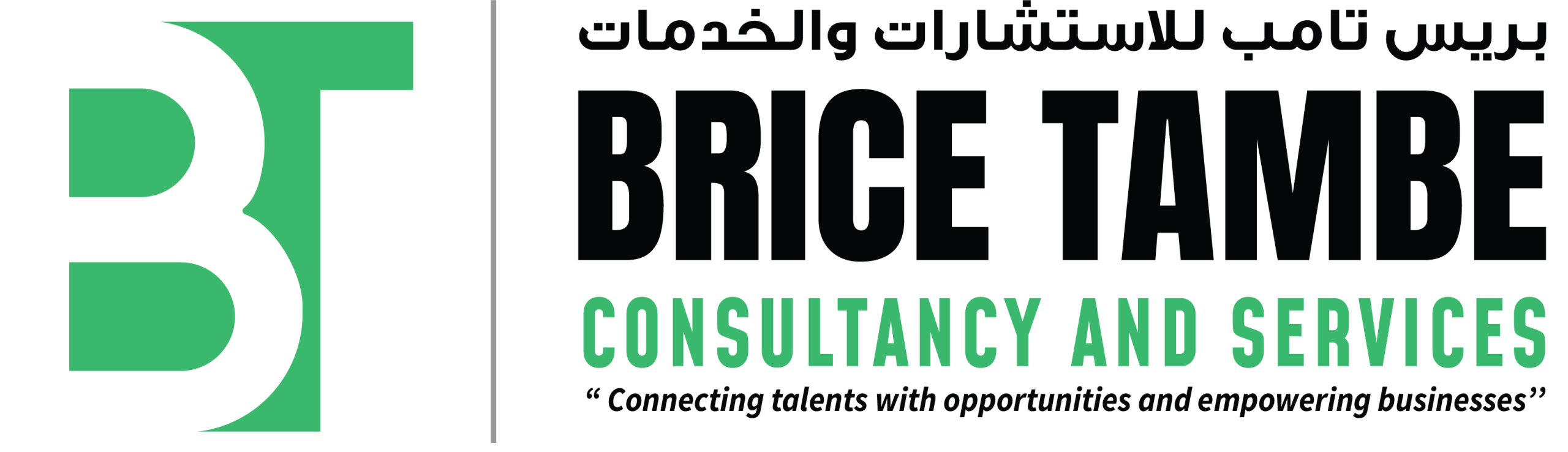Brice Tambe Consultancy And Services